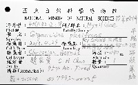 平端深海殼菜蛤藏品圖，第8張
