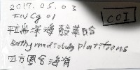 平端深海殼菜蛤藏品圖，第6張
