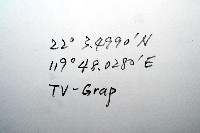 平端深海殼菜蛤藏品圖，第7張