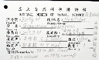 平端深海殼菜蛤藏品圖，第8張