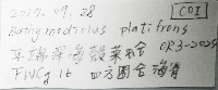 平端深海殼菜蛤藏品圖，第7張