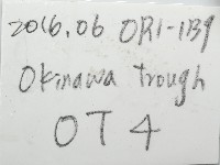 平端深海殼菜蛤藏品圖，第7張