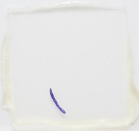 新種葉槽絛蟲藏品圖，第7張