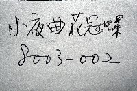 小夜曲花冠螺藏品圖，第11張