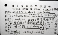 飛碟花冠螺藏品圖，第12張