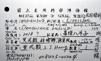 潮境花冠螺藏品圖，第16張