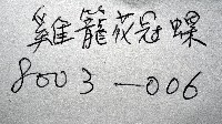 雞籠花冠螺藏品圖，第15張