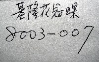 基隆花冠螺藏品圖，第11張