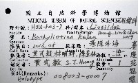 基隆花冠螺藏品圖，第12張