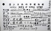 朝露蛹筆螺藏品圖，第12張