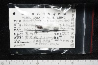 明光蛹筆螺藏品圖，第11張