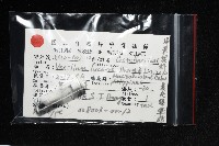晨光蛹筆螺藏品圖，第10張