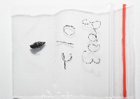 晨光蛹筆螺藏品圖，第11張