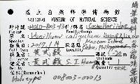 暮靄蛹筆螺藏品圖，第12張