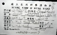 角眼沙蟹藏品圖，第12張
