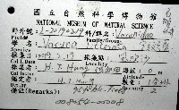 字紋弓蟹藏品圖，第8張