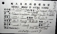 澳洲(南海)沼蝦藏品圖，第8張