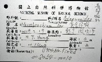 貪食沼蝦藏品圖，第12張