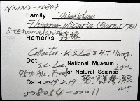 錐蜷藏品圖，第4張