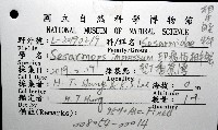 印痕仿相手蟹藏品圖，第8張