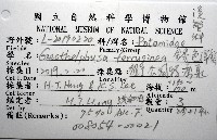 銹色澤蟹藏品圖，第12張