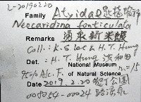 湧泉新米蝦藏品圖，第16張