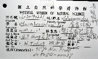 貪食沼蝦藏品圖，第8張