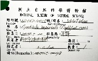 帝王渦螺藏品圖，第12張
