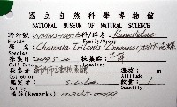 大法螺藏品圖，第16張