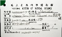 黑刺骨螺藏品圖，第12張