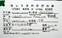 盤鮑螺藏品圖，第16張