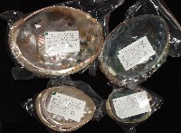 孔雀鮑螺藏品圖，第11張