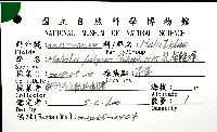 孔雀鮑螺藏品圖，第12張