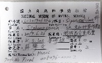未知種管體星蟲藏品圖，第16張