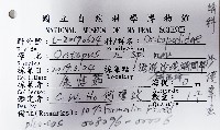 沙港章魚(新種)藏品圖，第12張