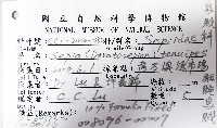 細腕(狹足)烏賊藏品圖，第12張