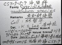 未知種海螢藏品圖，第8張