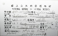 船形(公代)薄殼蛤藏品圖，第12張
