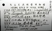 亞氏海豆芽藏品圖，第8張