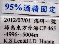 未知種深海石鱉藏品圖，第11張