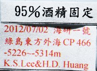 未知種鈍矢海鰓藏品圖，第7張