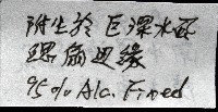 深海板茗荷藏品圖，第14張