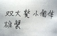 弧邊管招潮藏品圖，第11張