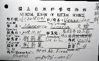 文蛤藏品圖，第12張