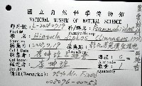 西施舌藏品圖，第16張