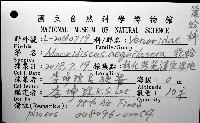 花蛤藏品圖，第12張