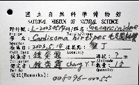 毛足圓軸蟹藏品圖，第8張