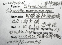 邊緣海神海蛞蝓藏品圖，第8張