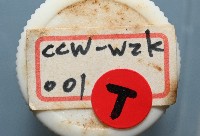 和美闊沙蠶藏品圖，第12張