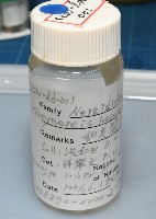 和美闊沙蠶藏品圖，第7張